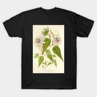 Passion Flower - Passion Vine botanical illustration T-Shirt